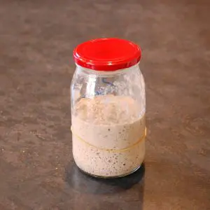 Wildfarmed Wholemeal Starter