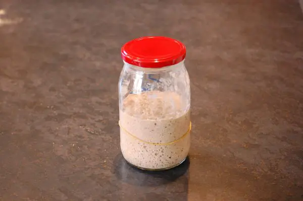 Sourdough Starter